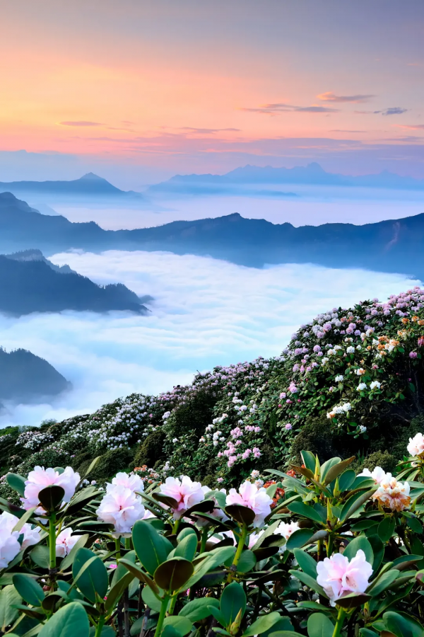 四川從哪裡來? 四川從哪裡來?