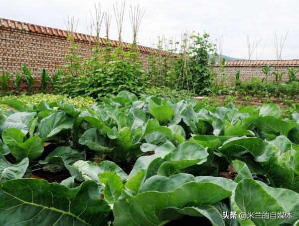 盛夏旅行，壩上水城沽源的3天經典玩法，全在這兒