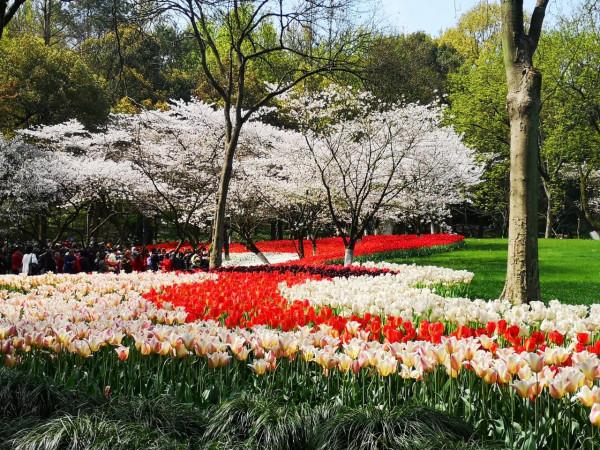 杭州最適合“窮遊”的10個景區，好玩還免費，趕緊收藏起來吧