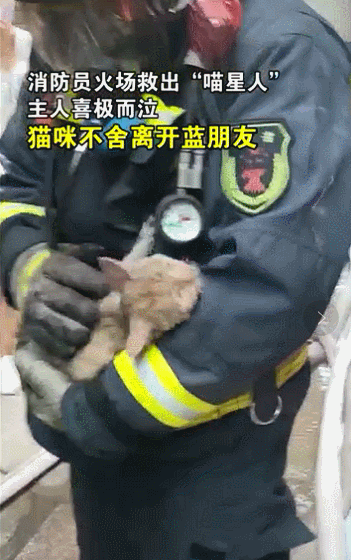生命之吻！他人工呼吸拯救昏迷小貓，中國消防員也很暖