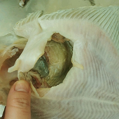 第一次嘗試清蒸多寶魚,沒想到這麼好吃 第一次嘗試清蒸多寶魚,沒想到這麼好吃