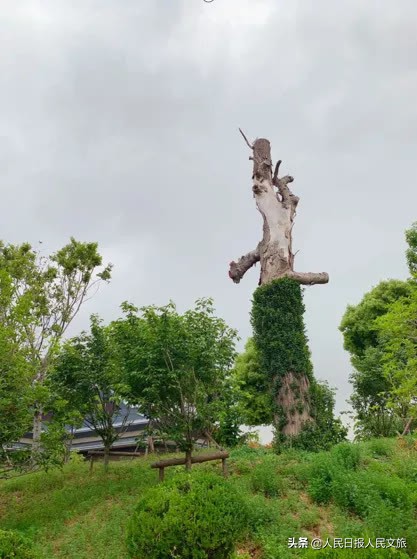 融匯古今的獨特魅力,450座古民居在這裡重建 融匯古今的獨特魅力,450座古民居在這裡重建