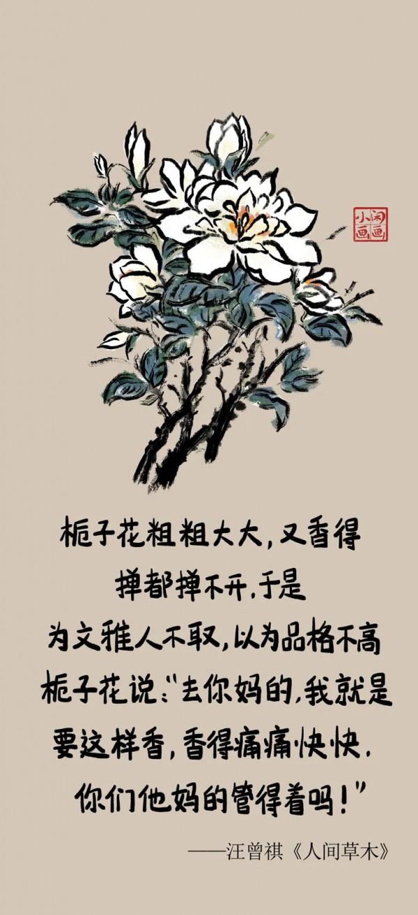 小閒畫畫：草木亦有心（第二集）空盆百合