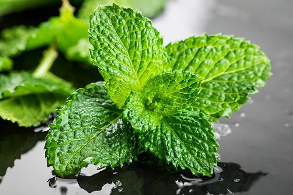 傷寒論學習｜太陽、陽明表裡同病，麻黃湯的用法