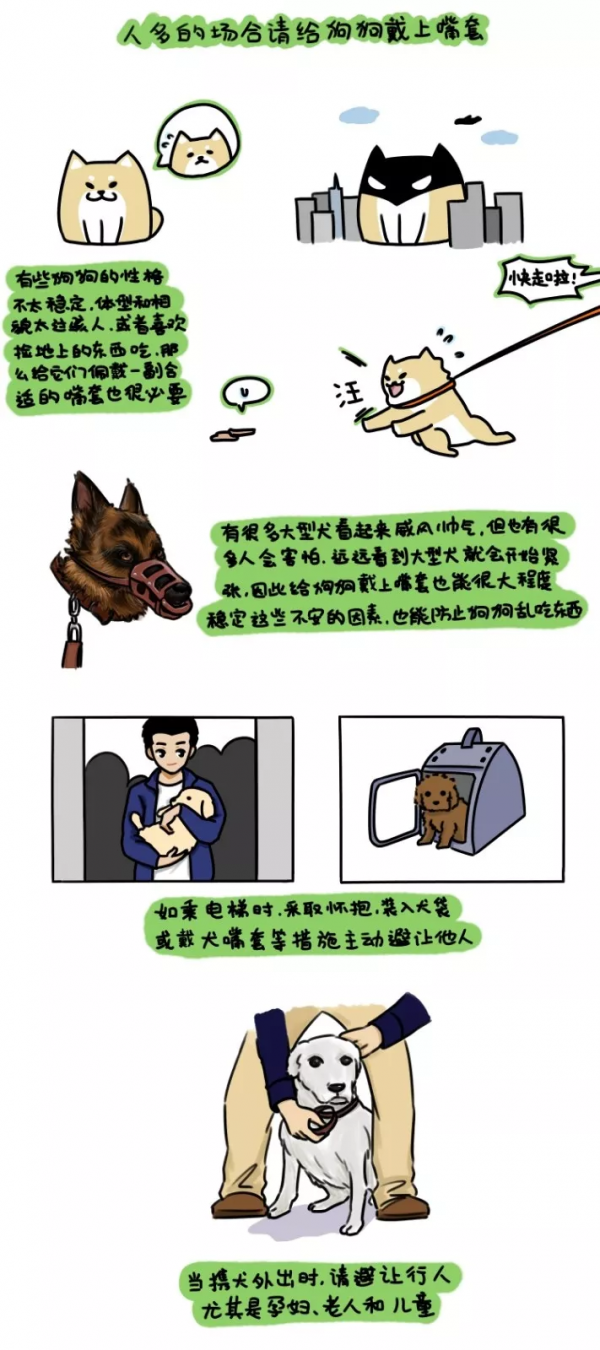 【文明建設】文明養犬怎麼做？漫畫分享一波~