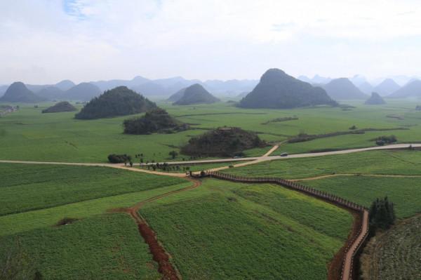 我對羅平的油菜花似乎也有&OpenCurlyDoubleQuote;七年之癢&rdquo;