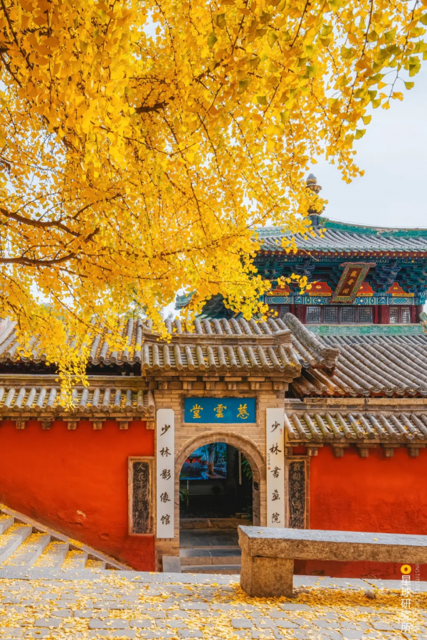 來了！中國賞秋地圖