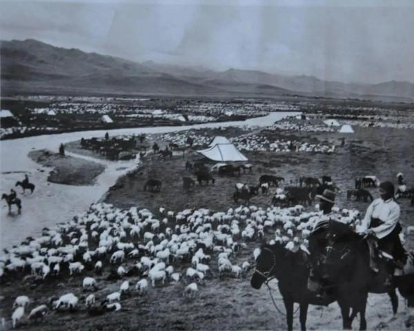 青海1958年的14張照片 青海1958年的14張照片
