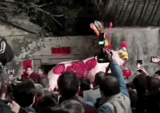 見過潮汕賽大豬，就明白了美學的奧秘