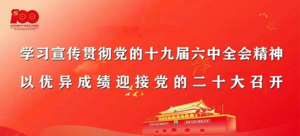 「食療藥膳」平菇金筍鰻魚湯