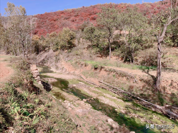 本想獨擁一山紅葉,無意中卻發現汝州大峪火石溝一處山水秘境 本想獨擁一山紅葉,無意中卻發現汝州大峪火石溝一處山水秘境