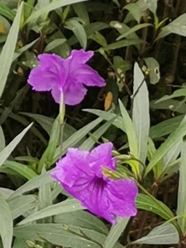 你常有與孩子有效溝通嗎？