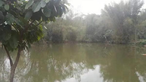 自衛還擊保衛邊疆誓師大會