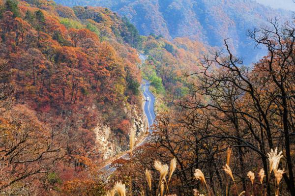 安徽又又又又又紅了 安徽又又又又又紅了