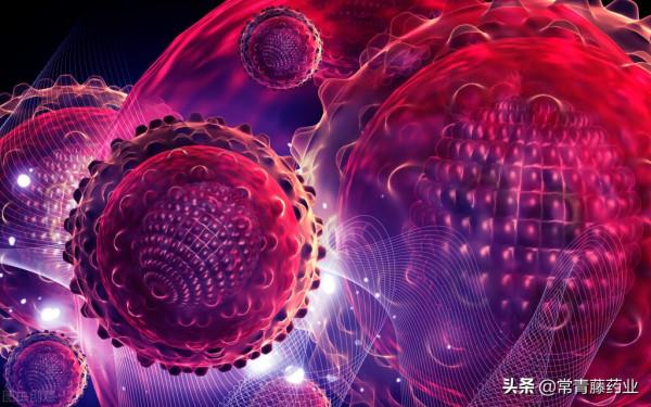 治療乙肝，選中醫還是西醫？一種中草藥方對抗乙型肝炎e抗原陽性