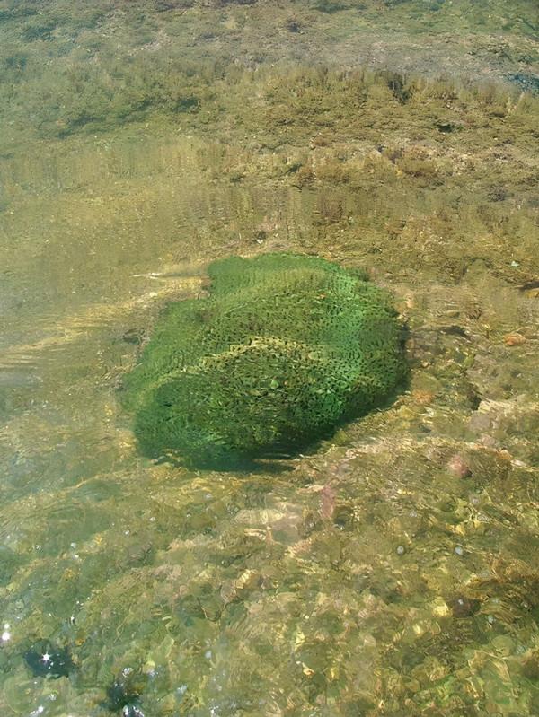 福建古雷：在無人的孤島上露營