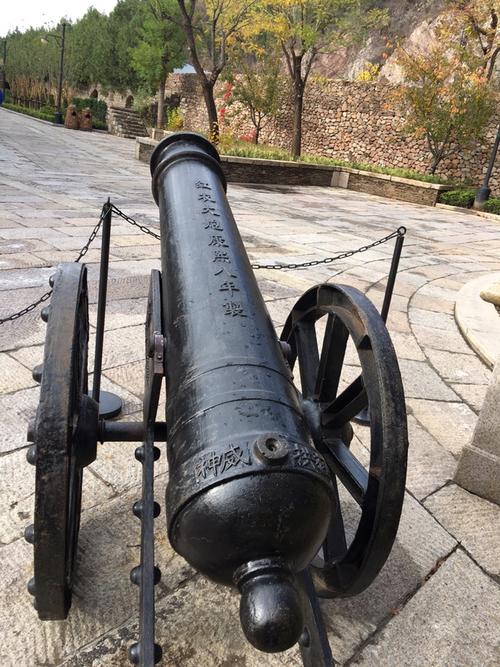 清軍在雅克薩之戰後，既然見識到了沙俄的火器，為何沒有引進？