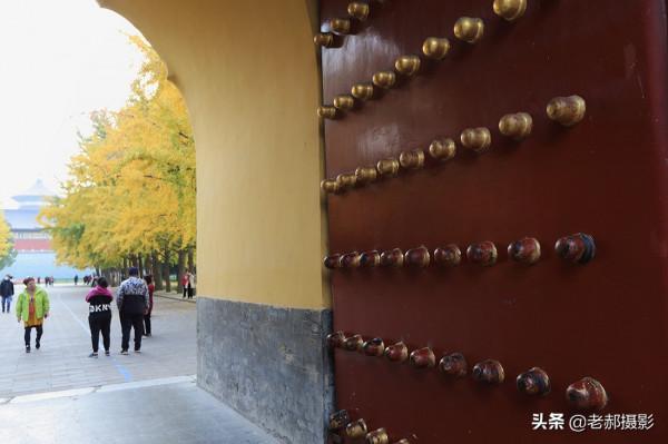 天壇公園裡金秋的穿越
