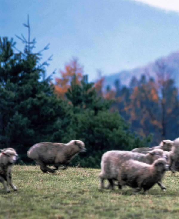 去秋天裡,遇見最美配色 去秋天裡,遇見最美配色