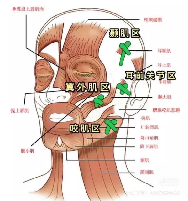 科普 | 顳頜關節病，如何自我按摩治療？