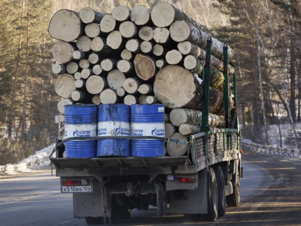 2021年俄羅斯木材產量超3000萬立方米