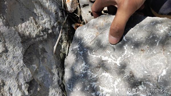 「化石探索」第9期：尋甸化石之旅（三）