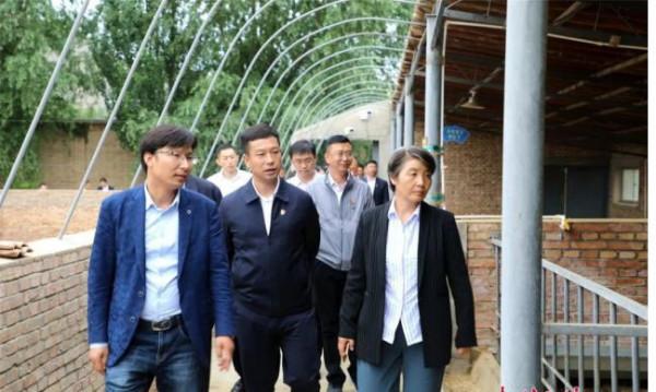 為員工發10億獎金，拯救無數破產國企，他能讓海航再度騰飛嗎？