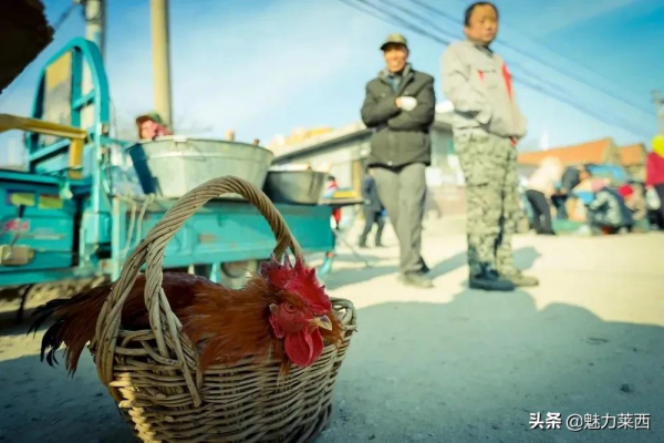 【鄉情】那山，那村，那集