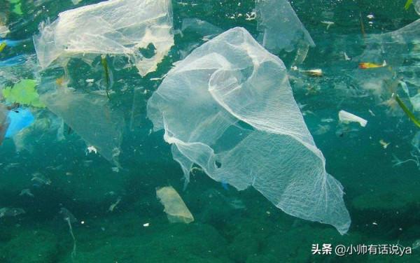 日本科學家取得突破，一發明或造福世界，終於是做了件好事