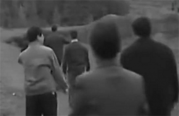 1961年，中科院專家去貴州調查&OpenCurlyDoubleQuote;鬼剃頭&rdquo;，結果自己也一夜變光頭