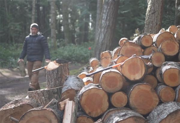 一對夫婦在荒島上住2年,蓋起10㎡蝸居,“離網”的日子簡單快樂 一對夫婦在荒島上住2年,蓋起10㎡蝸居,“離網”的日子簡單快樂