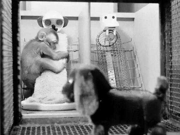 他哭任他哭，我看任我看，新育兒觀念？