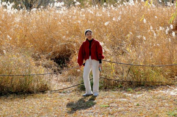 去奧森公園，盡享“京”彩秋色 #秋日好時光##小生活，大財富#