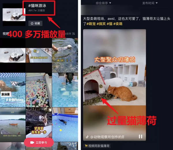 把貓咪喂胖,然後遺棄,這些人是在變相虐待寵物嗎? 把貓咪喂胖,然後遺棄,這些人是在變相虐待寵物嗎?