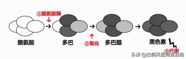 中秋節 美味佳餚相伴|白癜風患者飲食需注意些什麼嗎? 中秋節 美味佳餚相伴|白癜風患者飲食需注意些什麼嗎?