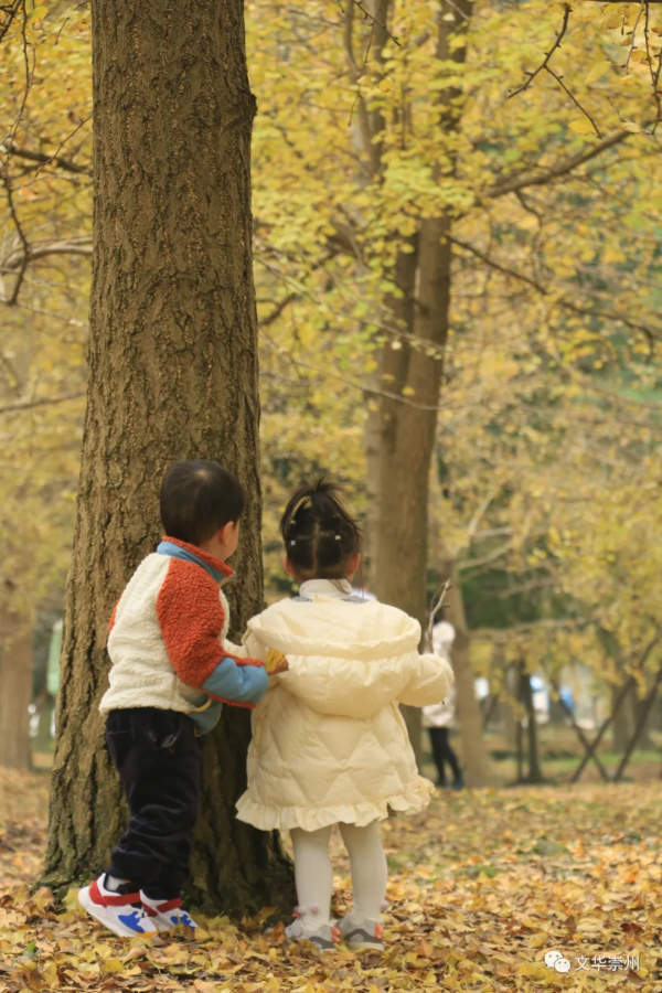 日常的瞬間，就是崇州最美的風景