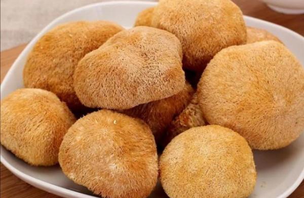 來自東北大山裡的奇珍異寶，你見過吃過幾種，都吃過的是純東北人