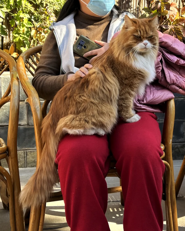 焗南瓜？烤南瓜？還是你要“戴”南瓜？