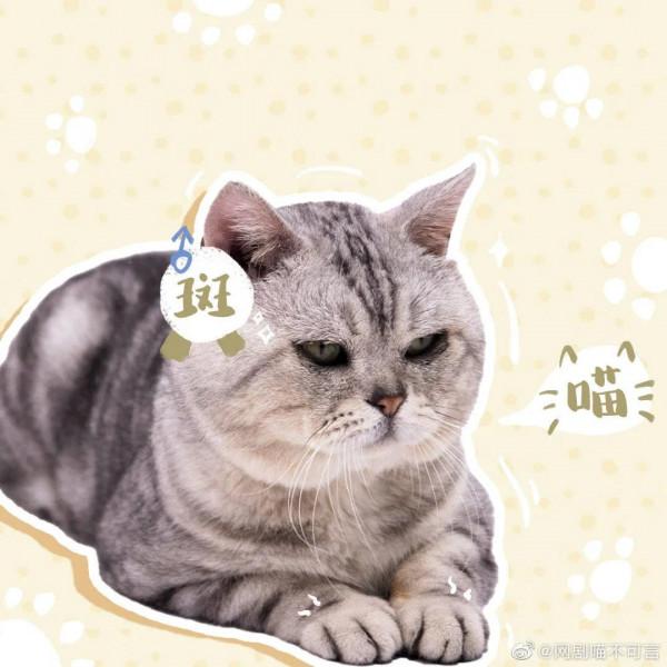 1.7-16播八劇：李庚希、白敬亭、雷佳音、李易峰、張藝興等的新劇