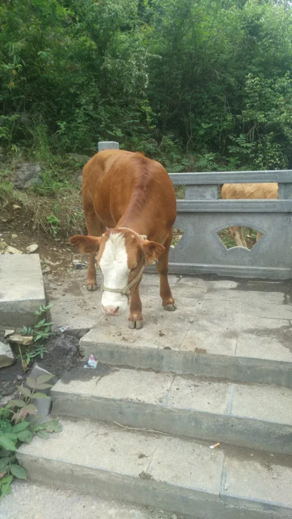 一日跨三省,步行在春天 一日跨三省,步行在春天