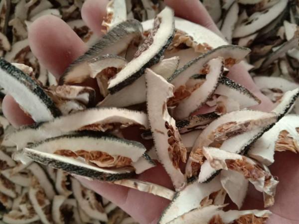 1個方子，4味中藥，燥溼、化痰，讓你不再為“痰”所困擾