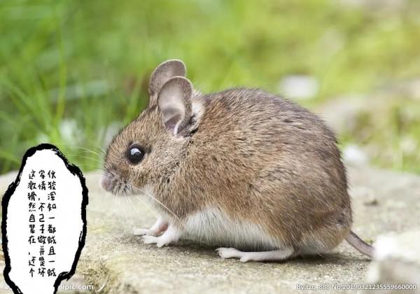 多樣世界的奇妙,你知道多少? 多樣世界的奇妙,你知道多少?