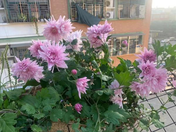 朋友圈2021年第31期