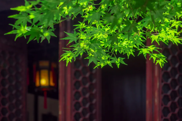 王嶽倫已變李湘“前夫”？從娛樂圈離婚瓜看古代名人離婚那些事兒