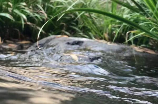 我手機上的秘密人物