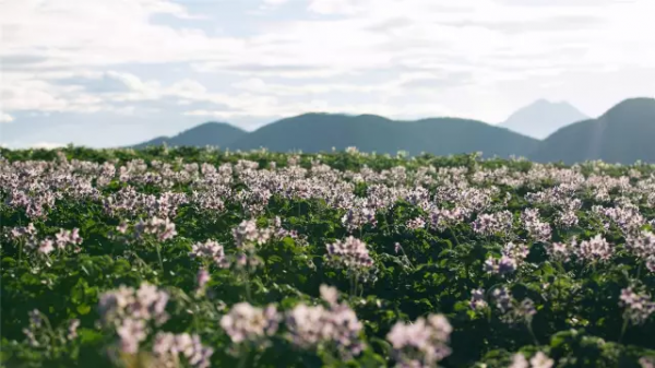 某旅行達人推薦：10個最值得去的旅行地，每一個都值得走一次
