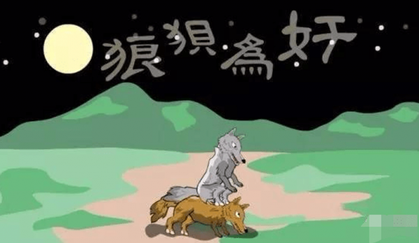 狼狽中的狽,究竟是種什麼動物?為什麼從來沒有見到過? 狼狽中的狽,究竟是種什麼動物?為什麼從來沒有見到過?