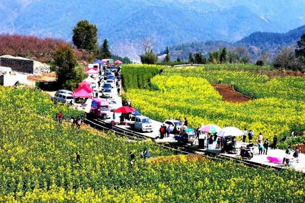 山東一新農村,內設集團收入超1000億,村民工資待遇雙倍 山東一新農村,內設集團收入超1000億,村民工資待遇雙倍