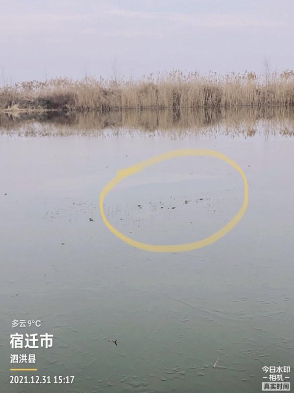 首次體驗冰窟釣魚，收竿時魚口還是那麼暴躁