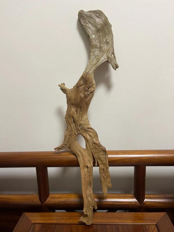 崖柏扁根骨料人物作品